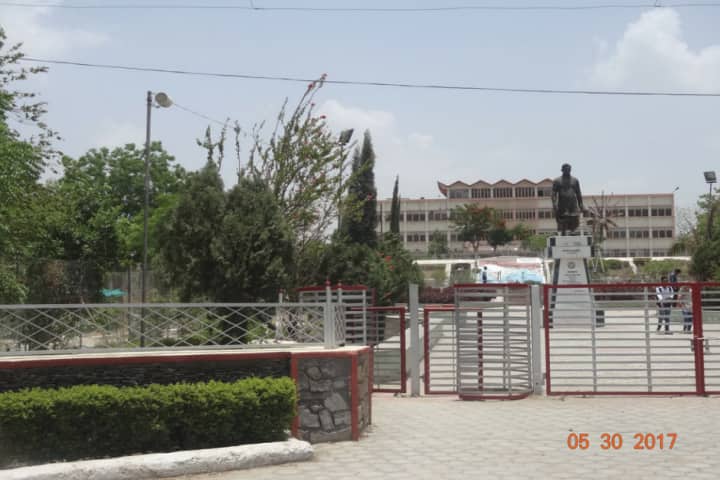 MLSU Udaipur campus in Udaipur, Rajasthan, India — photo 3