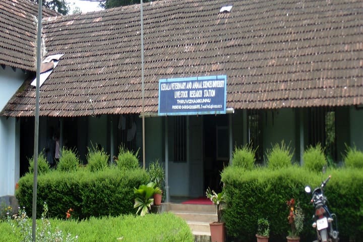 KVASU Wayanad campus in Wayanad, Kerala, India — photo 2