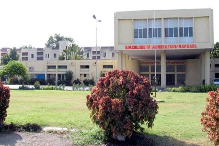 Navsari Agricultural University campus in Navsari, Gujarat, India — photo 2