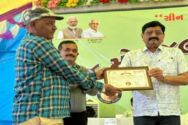 Shri Saraswati College of Education campus in Gir Somnath, Gujarat, India — photo 4