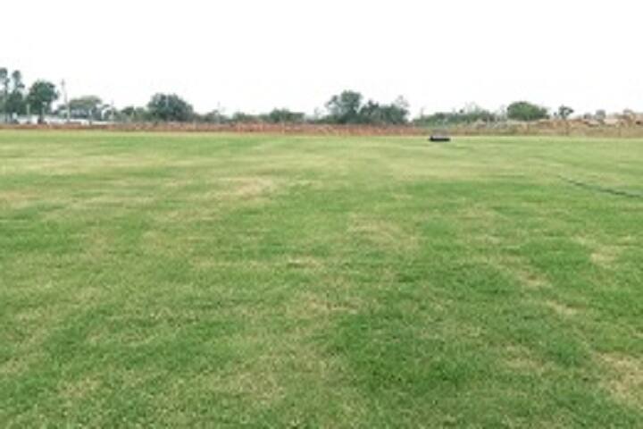 Late Nirdhan Patil Waghaye Arts campus in Deesa, Gujarat, India — photo 4