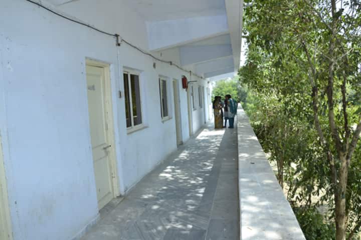 Shree Shankar College of Education campus in Patan, Gujarat, India — photo 1