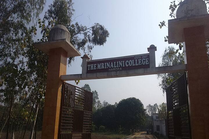 The Mrinalini College campus in Saharanpur, Uttar Pradesh, India — photo 1