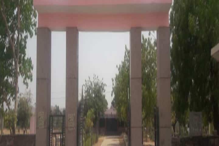 Shri Shiv Charan Mathur Government College campus in Mandalgarh, Rajasthan, India — photo 1