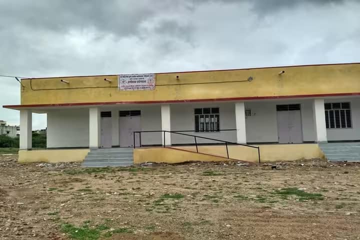 Shri Govind Singh Gurjar Rajkiya Mahavidyalaya campus in Nasirabad, Rajasthan, India — photo 2