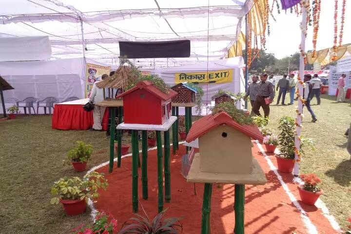 Chaudhary Harnam Singh Mahavidyalaya campus in Bareilly, Uttar Pradesh, India — photo 6