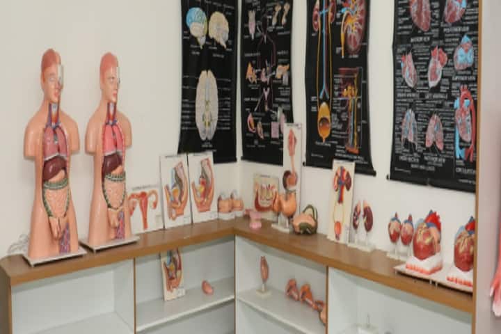Shree Krishna Institute of Nursing campus in Banaskantha, Gujarat, India — photo 2