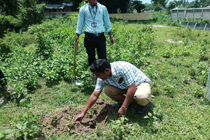 Mazbat College campus in Mazbat, Assam, India — photo 6