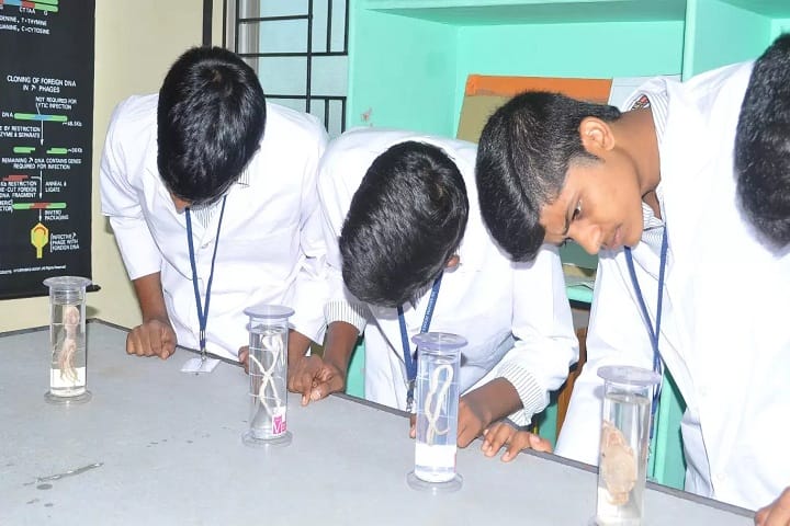 Sri Sai Krishna Degree College campus in Kurnool, Andhra Pradesh, India — photo 5