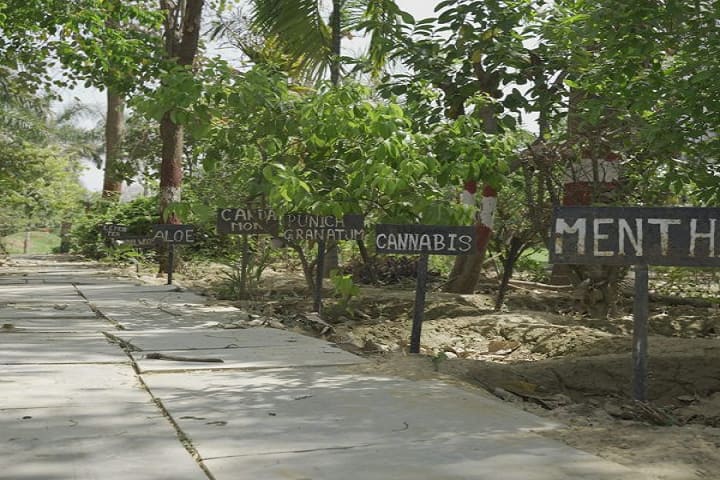 Krishnarpit Institute of Law campus in Allahabad, Uttar Pradesh, India — photo 3
