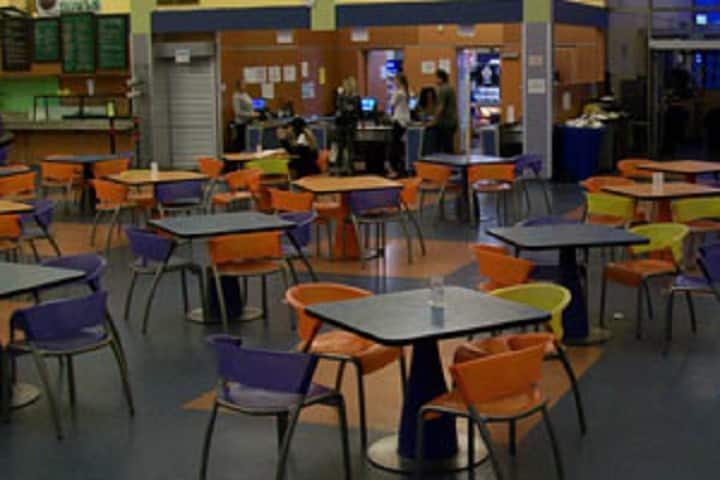 Starex Institute of Education campus in Bhora Kalan, Haryana, India — photo 5