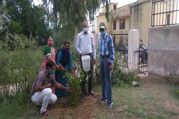 SD Government College campus in Beawar, Rajasthan, India — photo 5