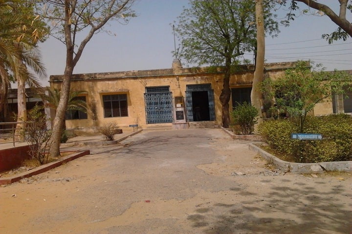 SBD Government College campus in Sardarshahr, Rajasthan, India — photo 1