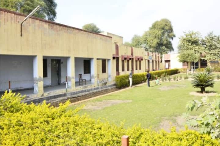 Dr Bhim Rao Ambedkar Government College campus in Sri Ganganagar, Rajasthan, India — photo 2