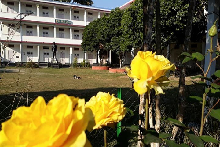 Dr Birinchi Kumar Barooah College, Puranigudam campus in Nagaon, Assam, India