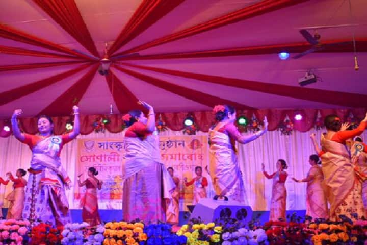 Dr Birinchi Kumar Barooah College campus in Nagaon, Assam, India — photo 6