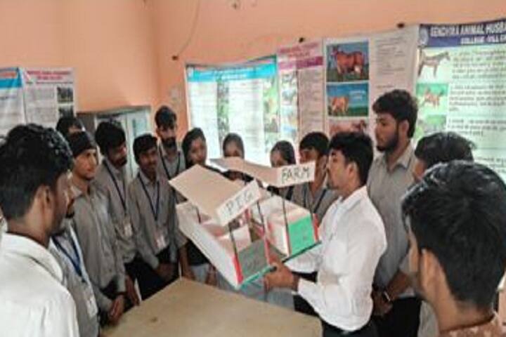 Sendhwa Animal Husbandry Diploma College campus in Barwani, Madhya Pradesh, India — photo 3