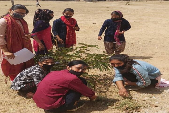 Government Girls College campus in Dausa, Rajasthan, India — photo 3