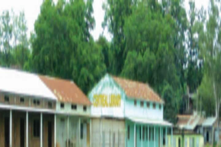 Hatsingimari College campus in Hatsingimari, Assam, India — photo 1
