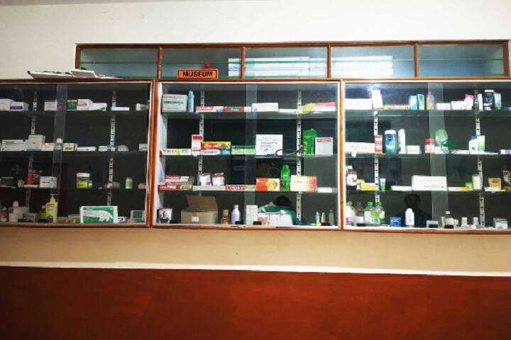 DBM College of Pharmacy campus in Sonipat, Haryana, India — photo 6