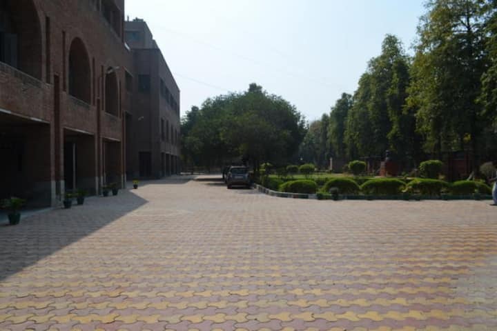 MSIT Delhi campus in New Delhi, Delhi, India — photo 6