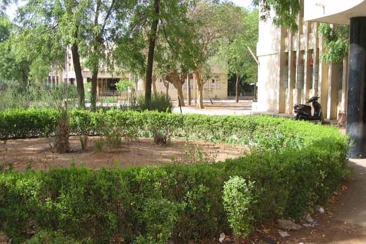 TCAS Kutch campus in Adipur, Gujarat, India — photo 1
