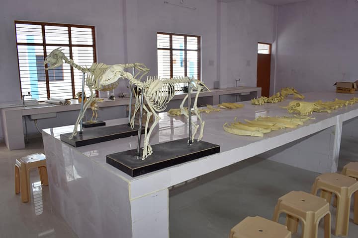 Janta Institute of Veterinary Science campus in Sonipat, Haryana, India — photo 5