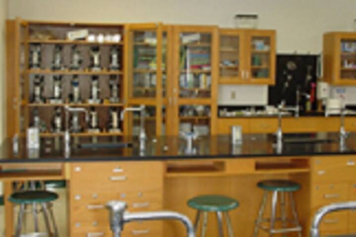 Adarsh College of Education campus in Jhajjar, Haryana, India — photo 3