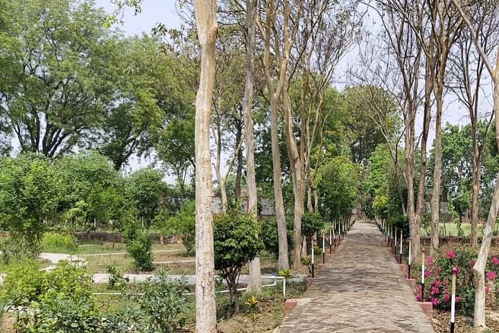 DAV College of Education campus in Rohtak, Haryana, India — photo 3