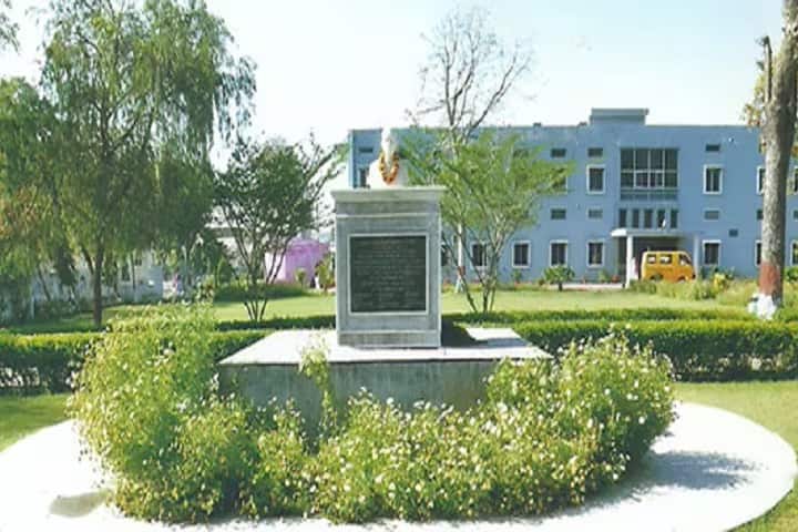 Satish Public College of Education campus in Rewari, Haryana, India — photo 1