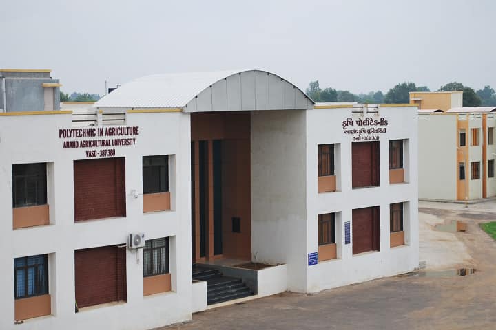 Polytechnic in Agriculture campus in Anand, Gujarat, India — photo 1