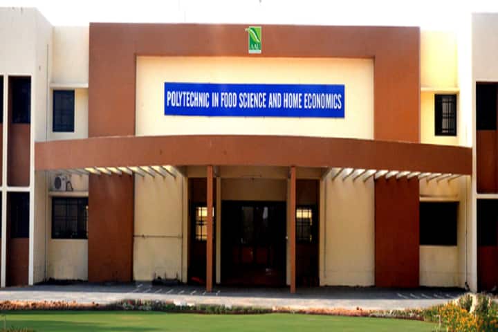 Polytechnic in Food Science and Home Economics campus in Anand, Gujarat, India — photo 1