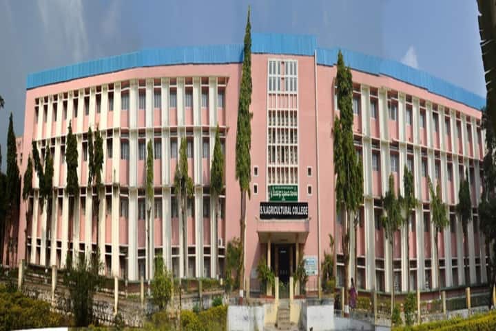 College of Agricultural Engineering campus in Guntur, Andhra Pradesh, India — photo 4