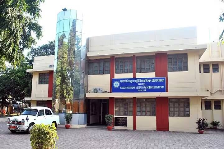 Nanaji Deshmukh Veterinary Science University campus in Jabalpur, Madhya Pradesh, India — photo 3