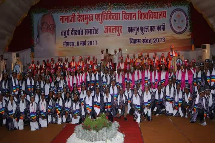 Nanaji Deshmukh Veterinary Science University campus in Jabalpur, Madhya Pradesh, India — photo 6