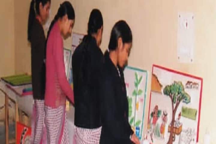 Sharma Modern Mahila Teacher's Traning College campus in Alwar, Rajasthan, India — photo 2
