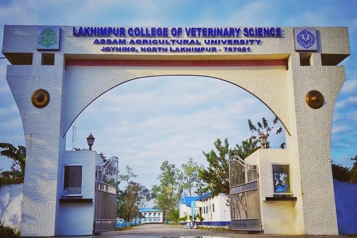 Lakhimpur College of Veterinary Science campus in Lakhimpur Kheri, Uttar Pradesh, India — photo 2