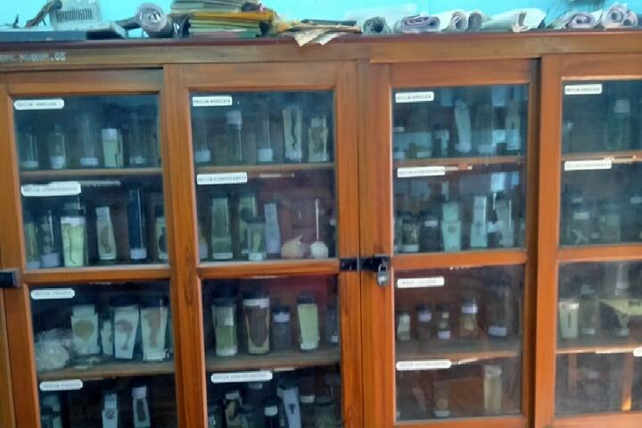 Raja Peary Mohan College campus in Uttarpara Kotrung, West Bengal, India — photo 6