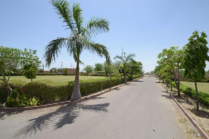 Marwar Shikshak Prashikshan Mahavidyalaya campus in Jodhpur, Rajasthan, India — photo 2