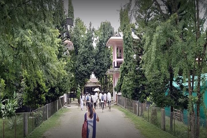 Simen Chapari College campus in Dhemaji, Assam, India — photo 2