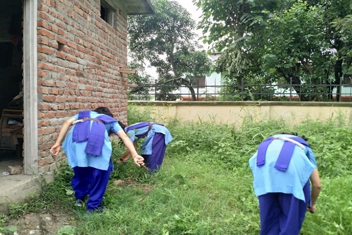 Swami Vivekanand Government College campus in Bilaspur, Himachal Pradesh, India — photo 6