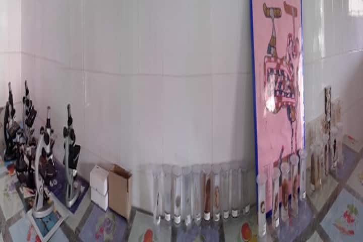 Government Rani Durgawati College campus in Wadraf Nagar, Chhattisgarh, India — photo 5