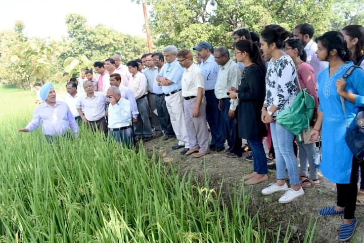 Acharya Narendra Deva University of Agriculture and Technology campus in Faizabad, Uttar Pradesh, India — photo 2