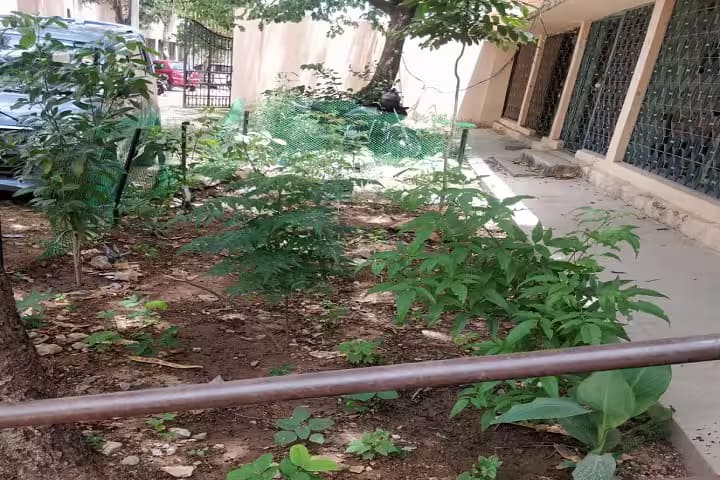 Government Degree College campus in Hyderabad, Telangana, India — photo 6